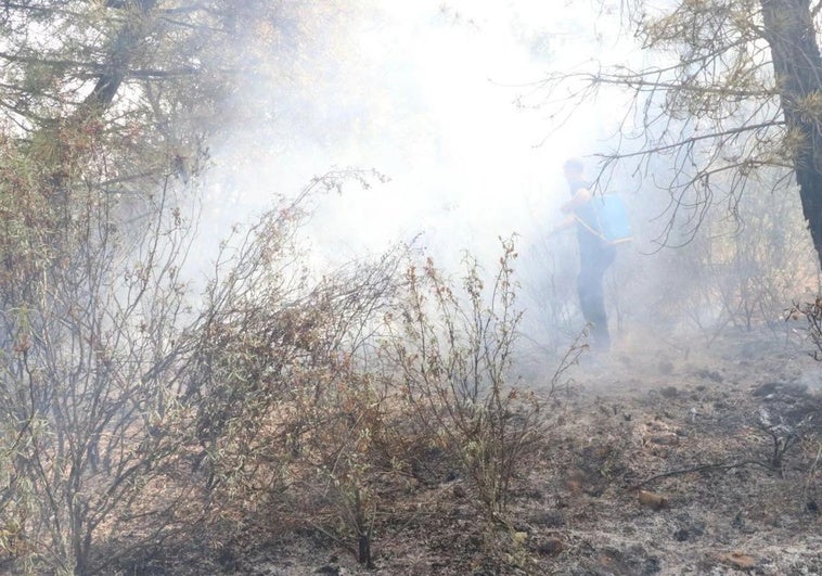 Cuatro personas permanecen en estado crítico por quemaduras en los incendios de León y Zamora