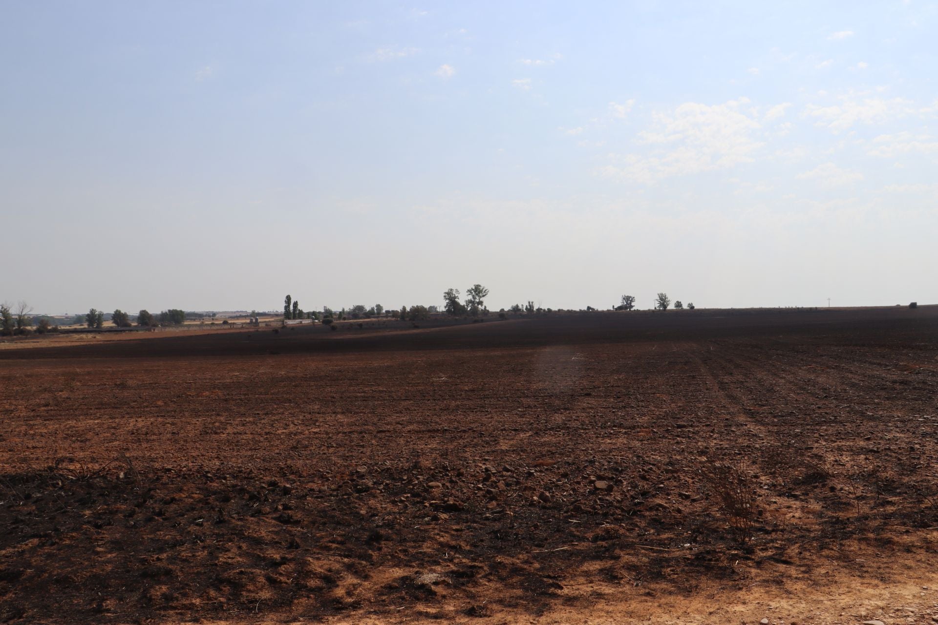 La devastación tras el fuego en Jiménez de Jamuz