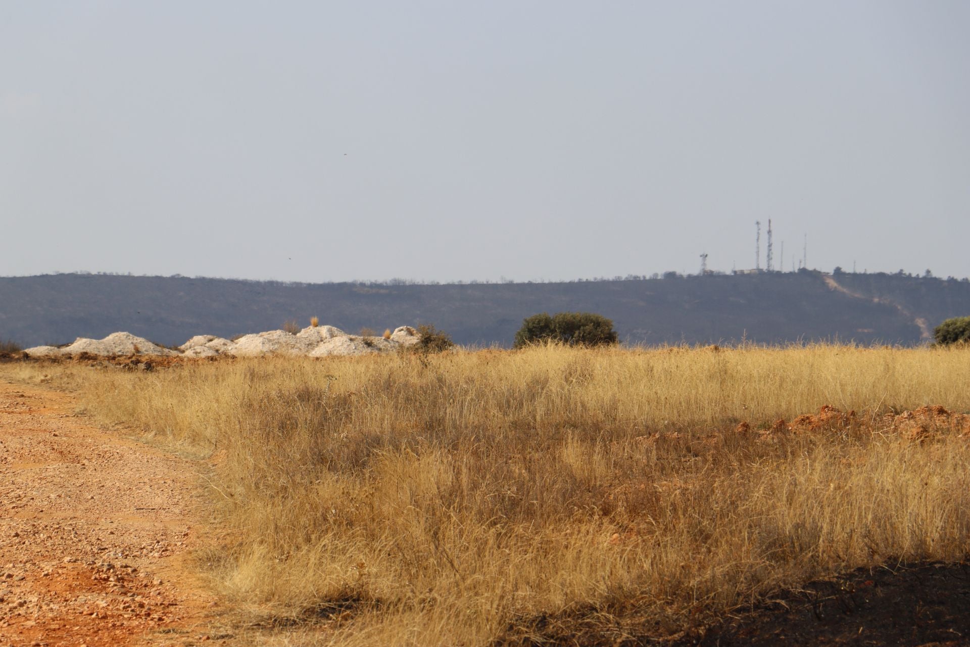 La devastación tras el fuego en Jiménez de Jamuz