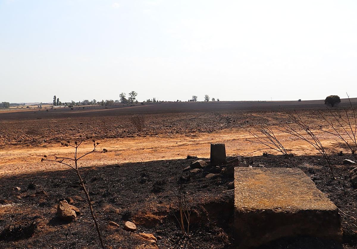 La devastación tras el fuego en Jiménez de Jamuz