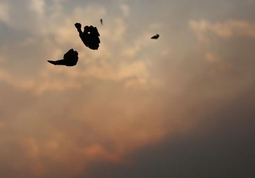 El incendio Yeres-Llamas de Cabrera presenta una situación «muy complicada»