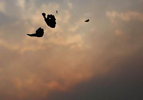 Lluvia de ceniza en Ponferrada de los diferentes incendios que están activos alrededor de la comarca del Bierzo.