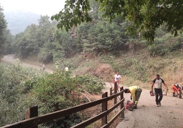 Picos de Europa, amenazado por dos incendios: «Que no desalojen si no hay medios, porque se nos quema el valle»