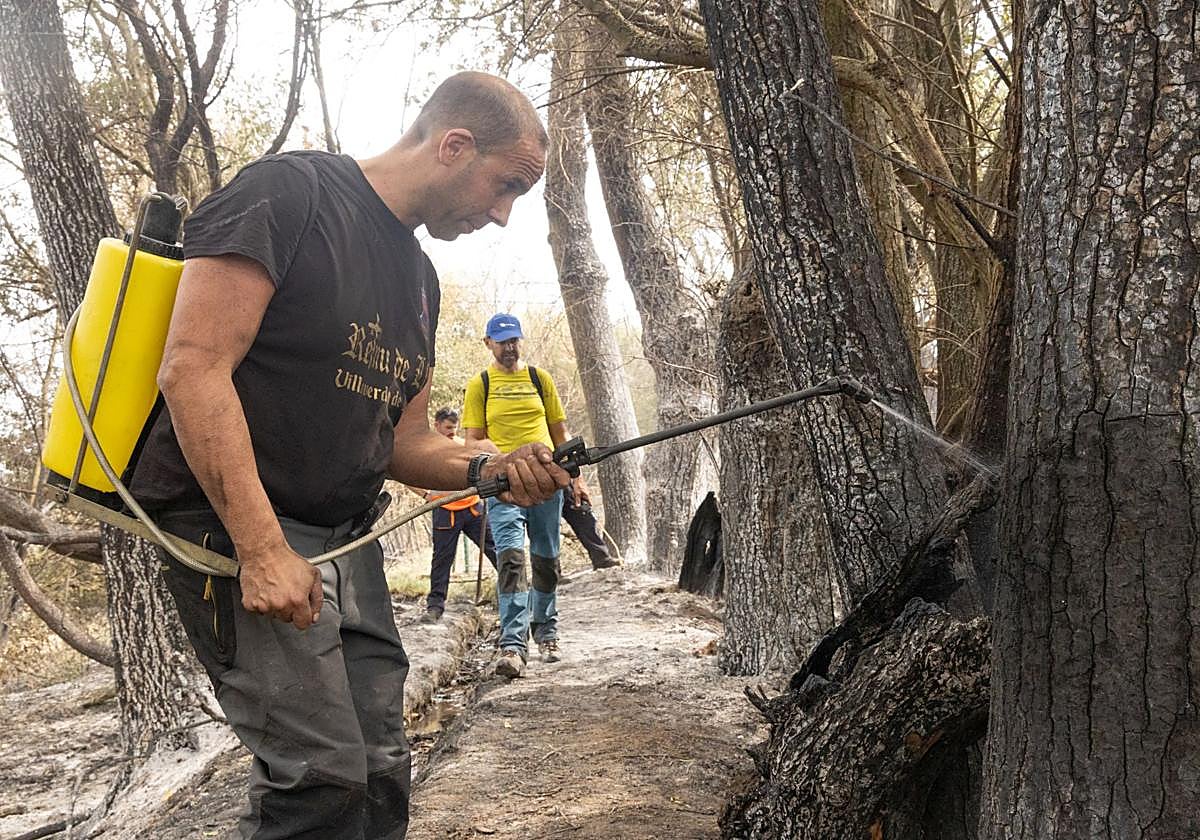 Incendio en la zona de Almanza.
