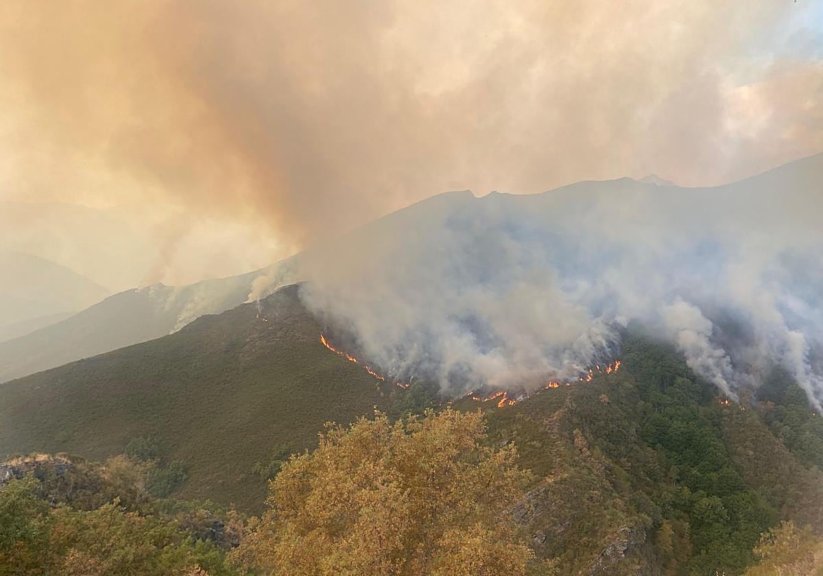 Incendio en el municipio de Oencia (León)