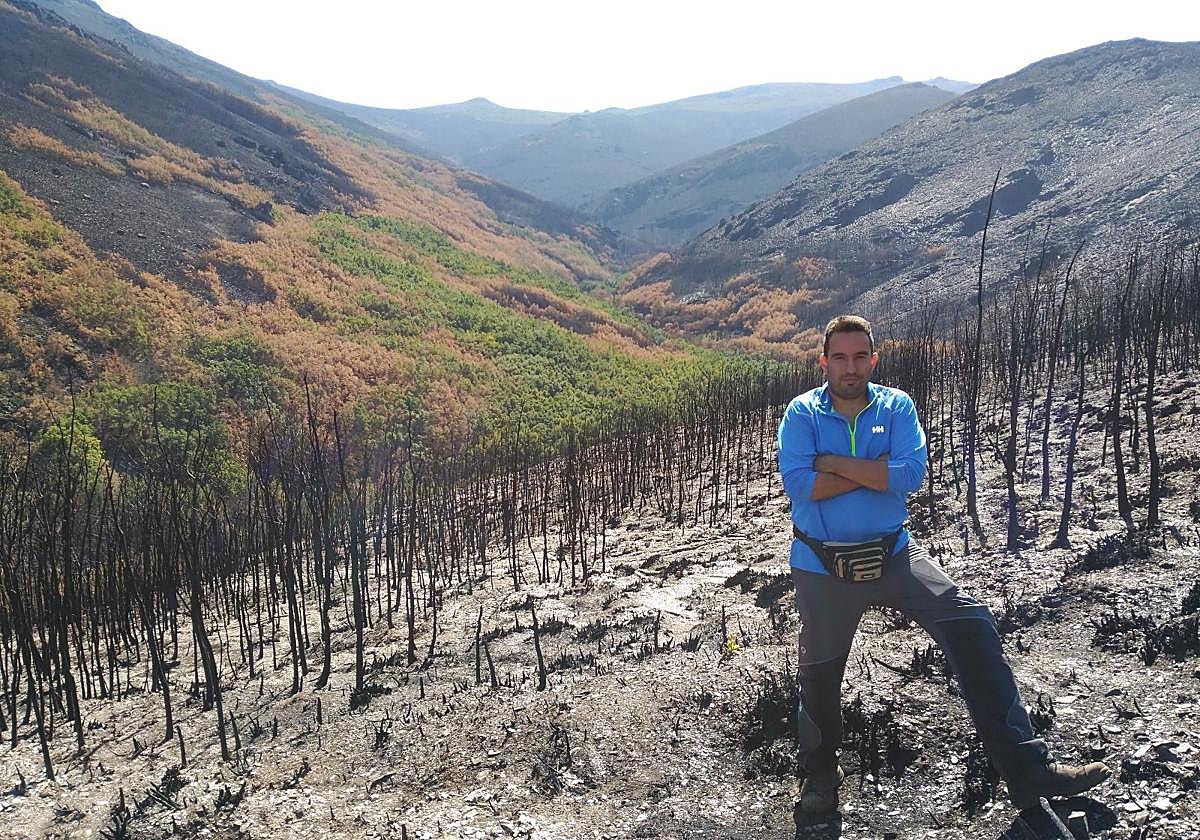 El investigador de la ULE Fernández Guisuraga en una zona afectada por el incendio.