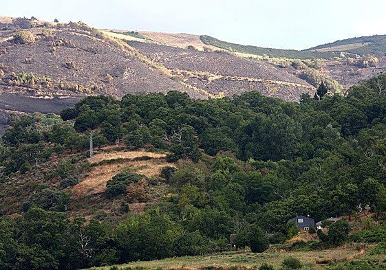 Paisaje de Oencia tras el paso del incendio.