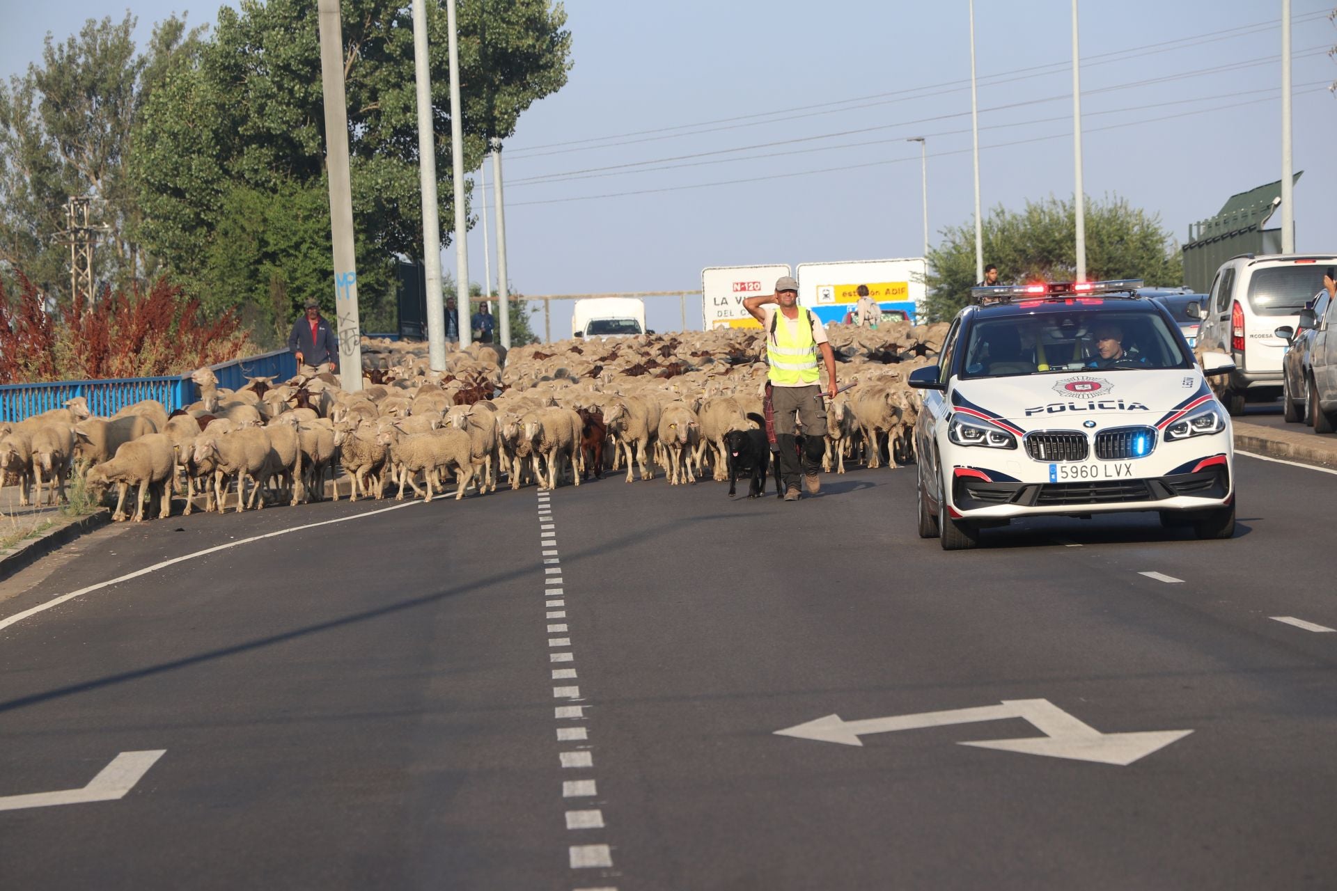 La trashumancia llega a León
