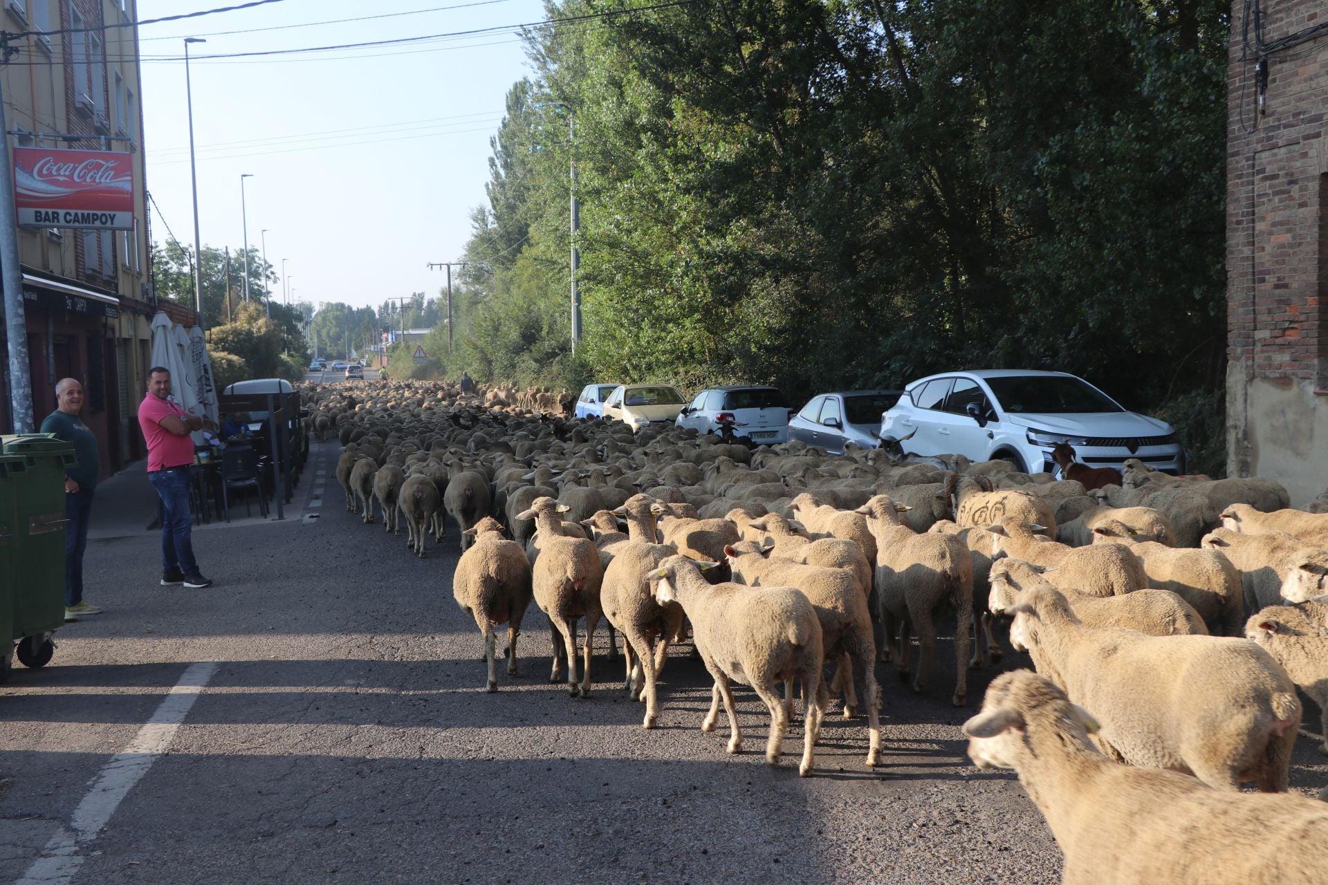 La trashumancia llega a León