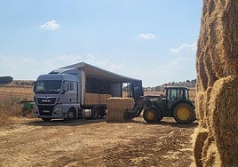 Tractores recopilando paja.