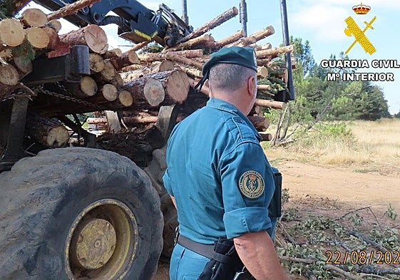 Un investigado de 59 años por su presunta implicación en el incendio forestal en Villamol