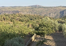 Uno de los lugares de España dodne hay un medidor de Noromet.
