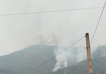 «¿Qué naturaleza vamos a vender ahora si se ha quemado todo?»