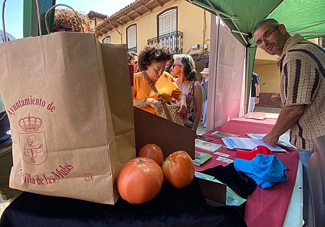 Puestos Feria del Tomate en Mansilla de Las Mulas