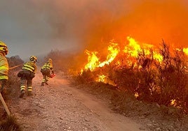 Incendio entre las localidades de Igüeña y Colinas del Campo de Martín Moro Toledano.