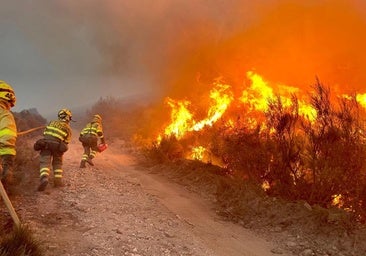 Así te hemos contado en directo tres semanas de incendios en León