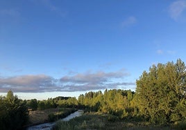 Cielo azul visto desde Carbajal.