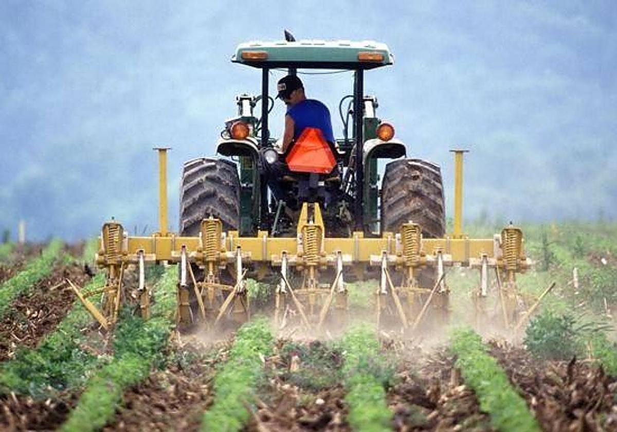 El paro ha caído en el sector agrícola en el último mes.