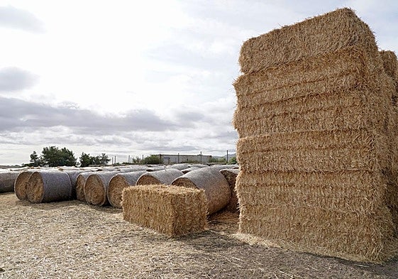 Imágenes de zonas de León afectadas por los incendios