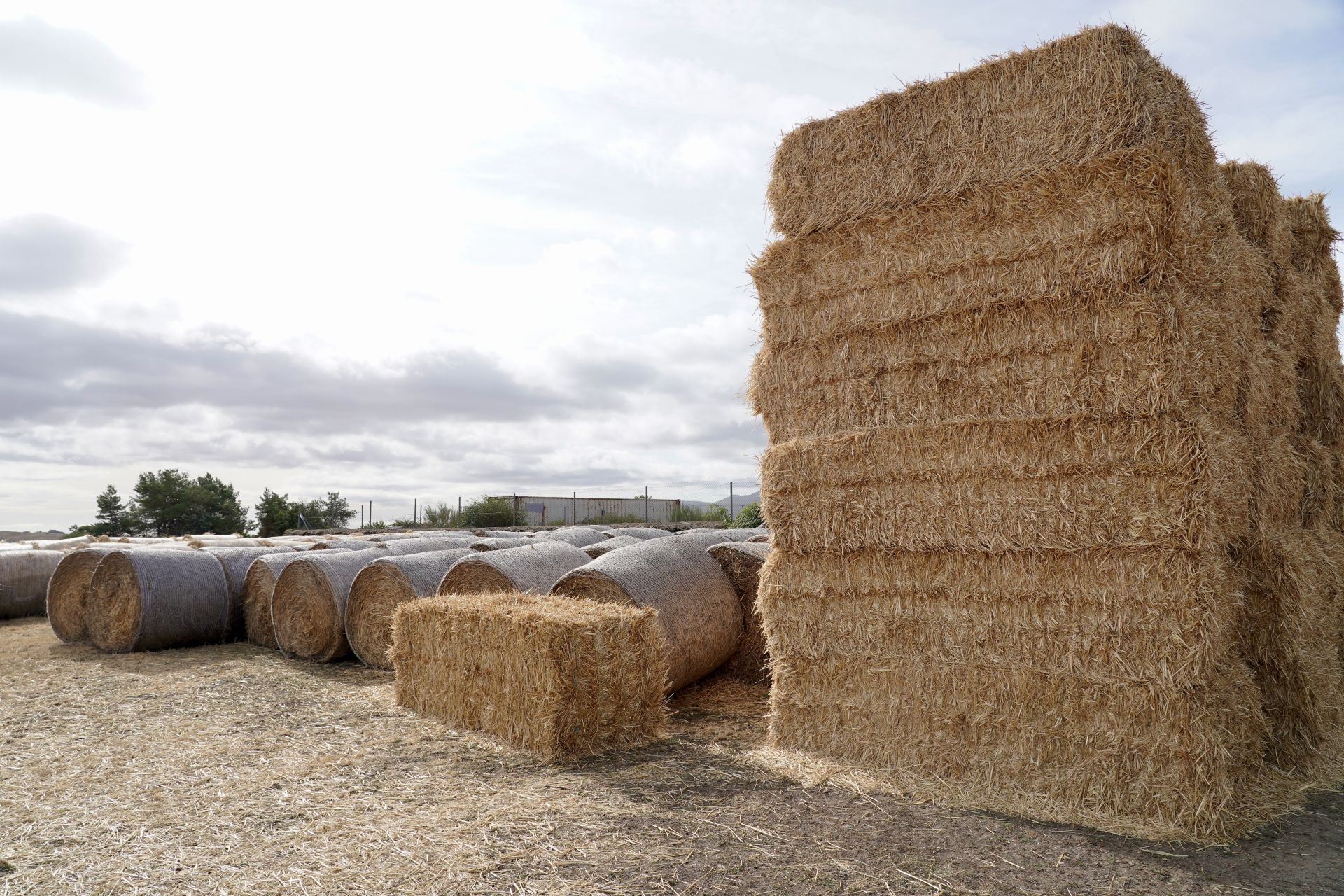 Imágenes de zonas de León afectadas por los incendios