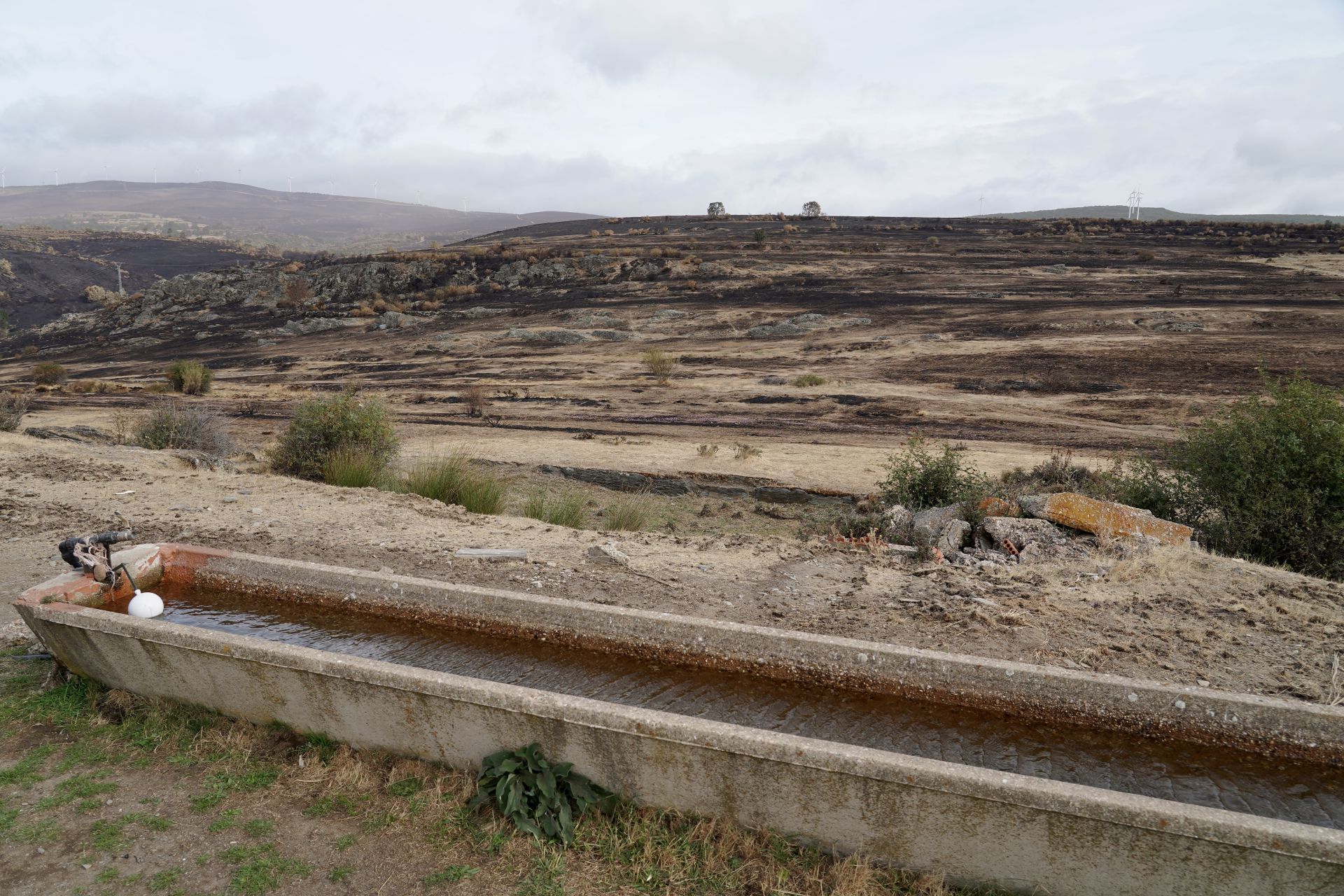 Imágenes de zonas de León afectadas por los incendios