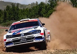 Imagen de Rally