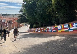 Banderas pintadas en la zona.