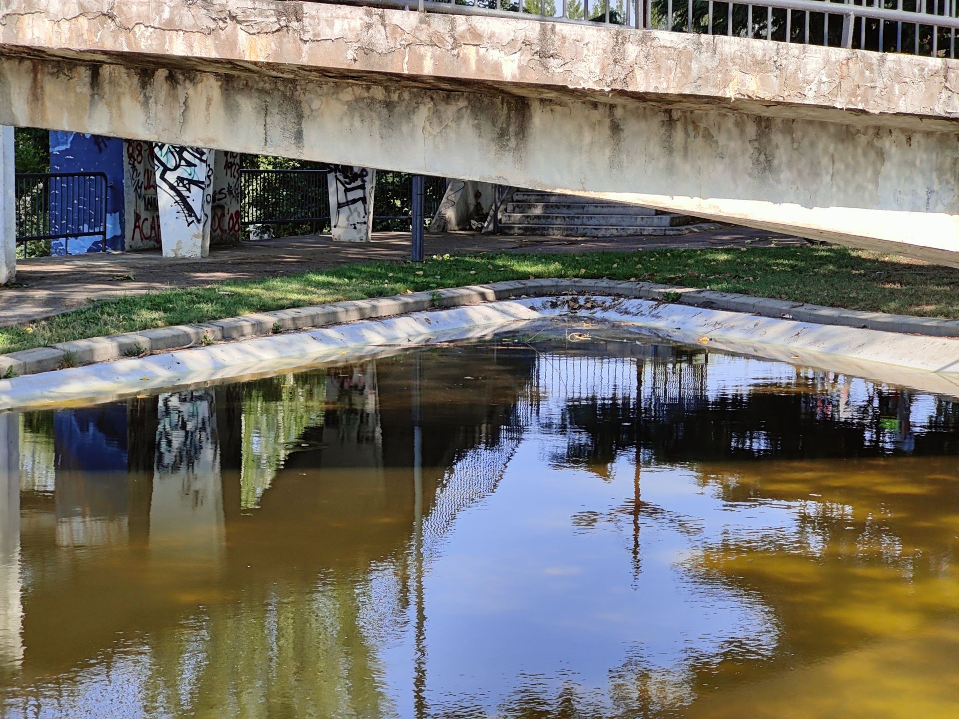 Las imágenes de la basura en el estanque del paseo Papalaguinda