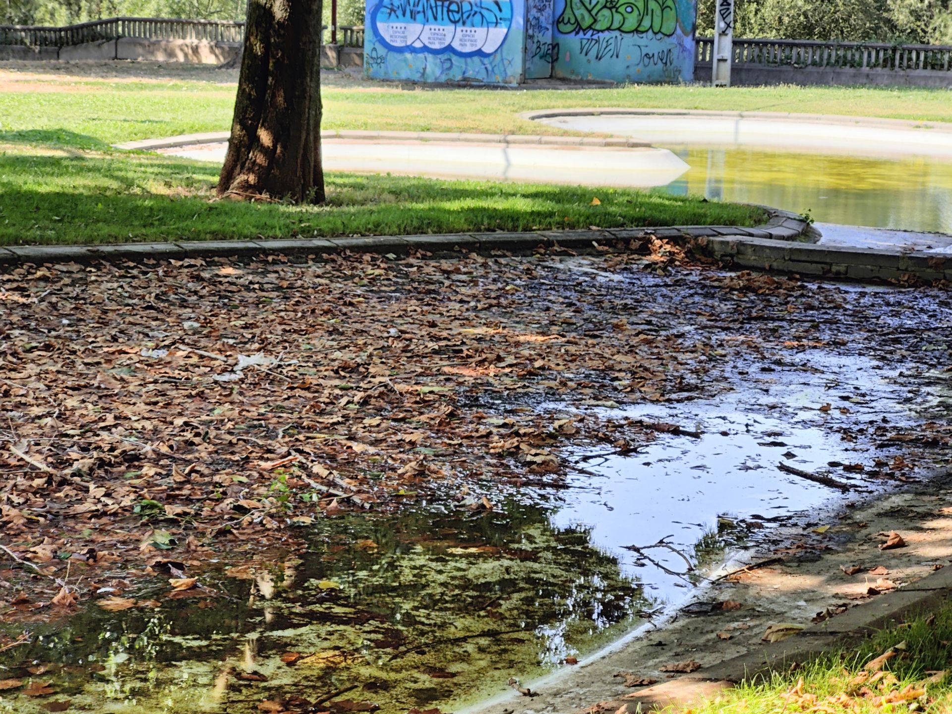 Las imágenes de la basura en el estanque del paseo Papalaguinda