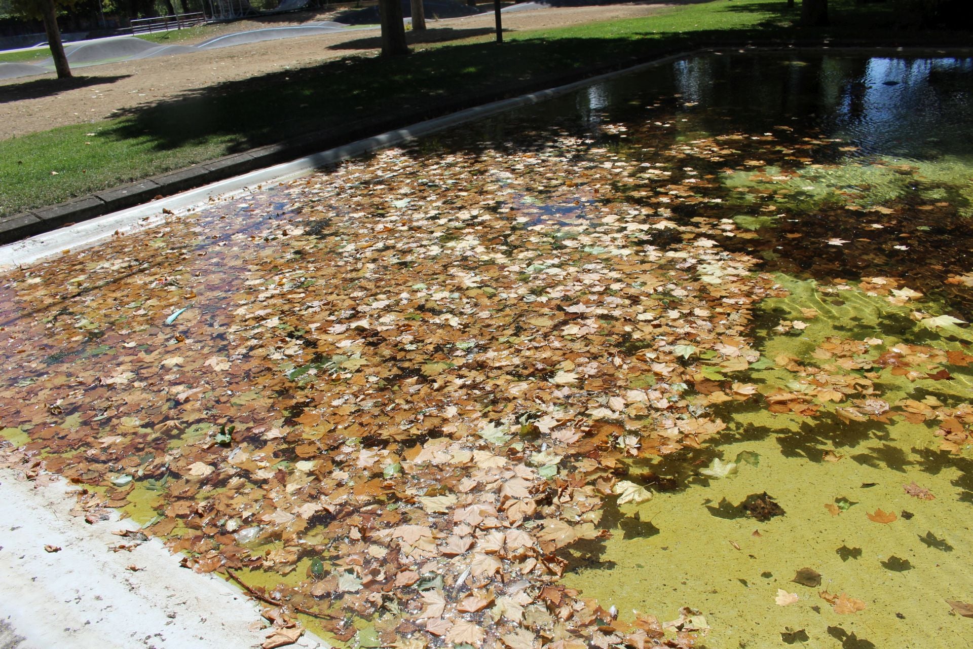 Las imágenes de la basura en el estanque del paseo Papalaguinda