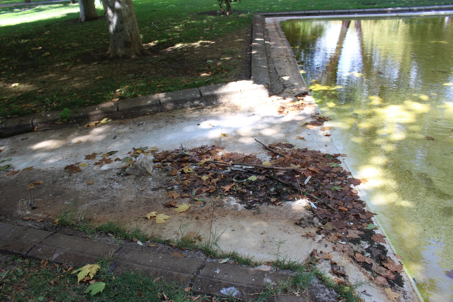 Las imágenes de la basura en el estanque del paseo Papalaguinda