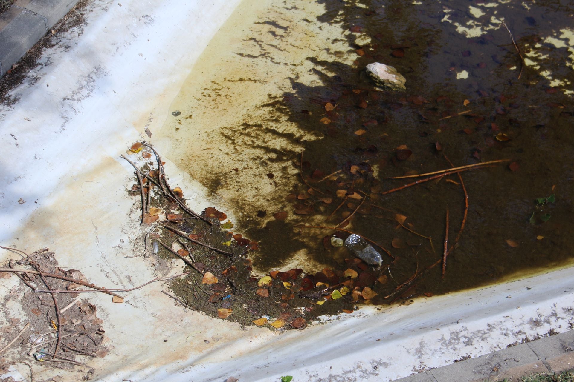 Las imágenes de la basura en el estanque del paseo Papalaguinda