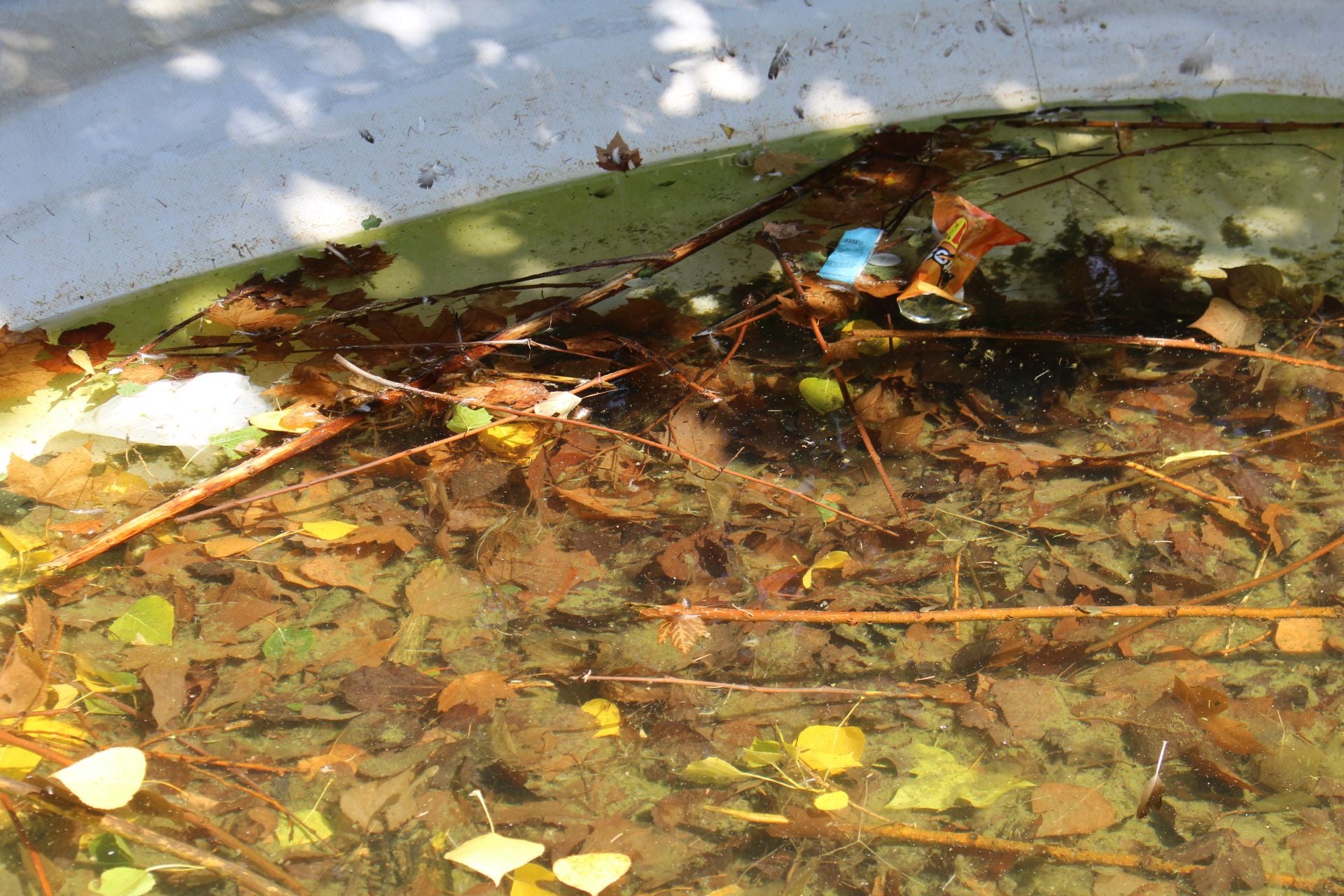 Las imágenes de la basura en el estanque del paseo Papalaguinda