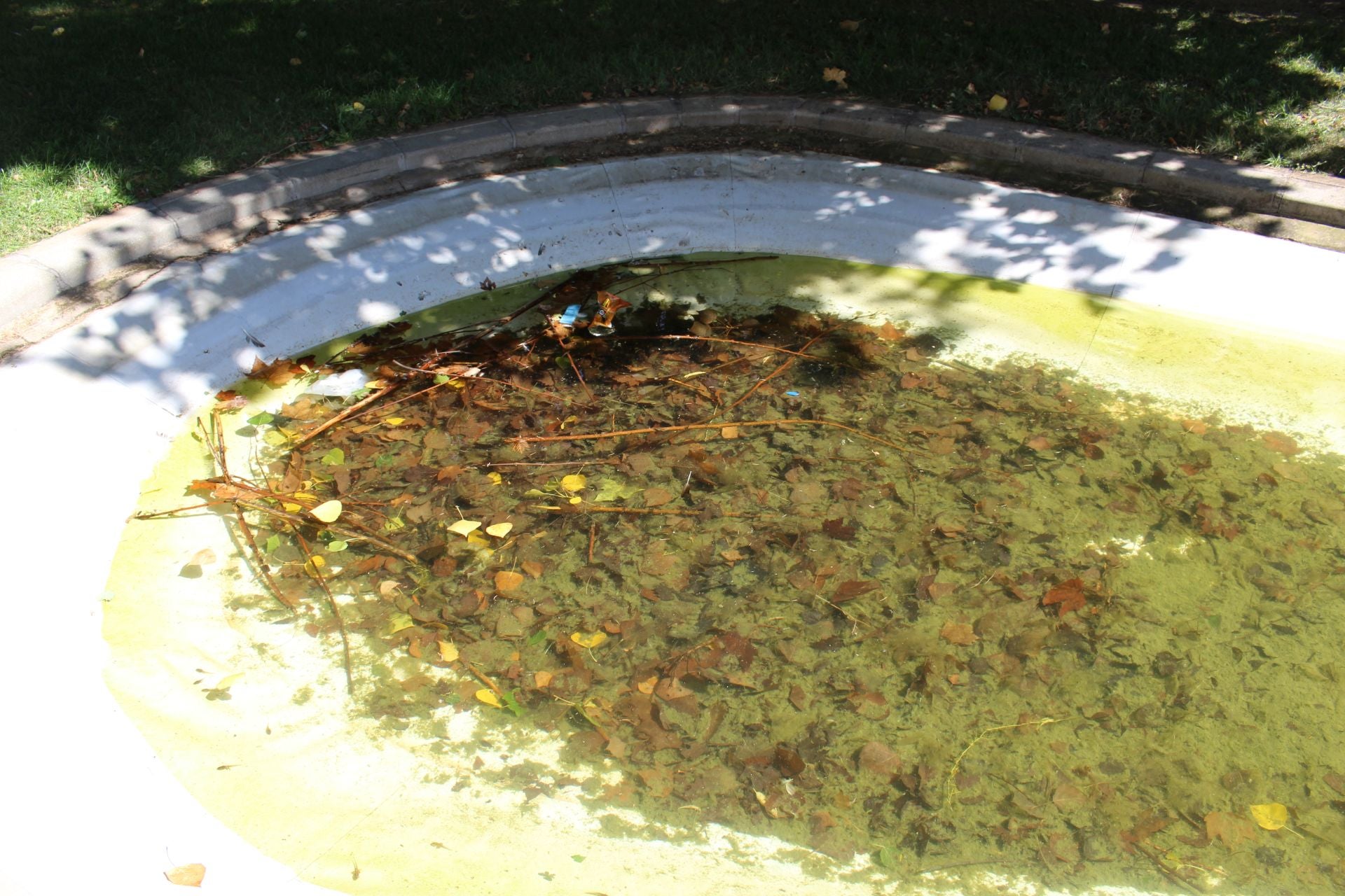 Las imágenes de la basura en el estanque del paseo Papalaguinda