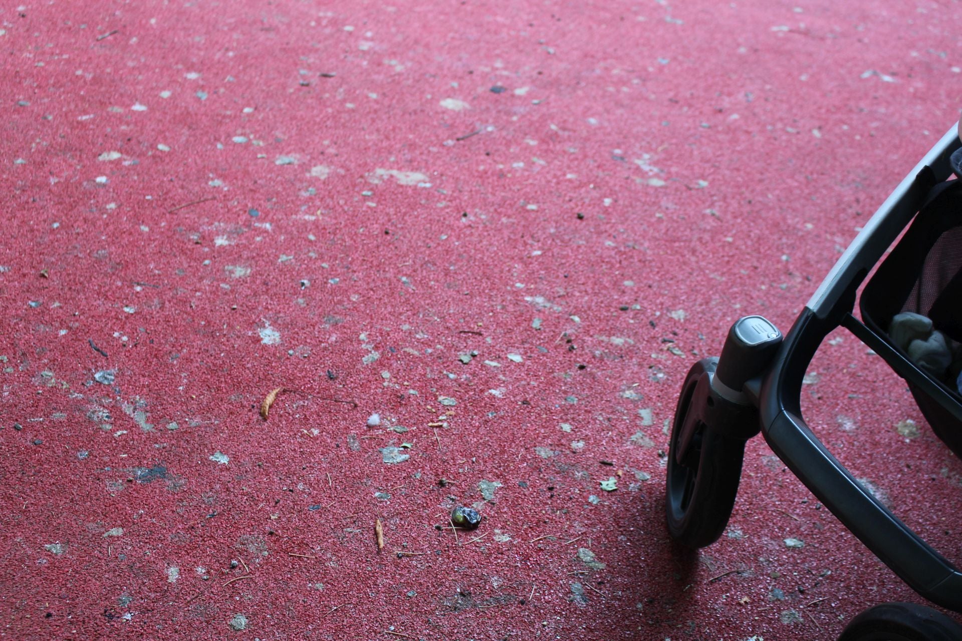 La suciedad en el parque infantil de San Francisco