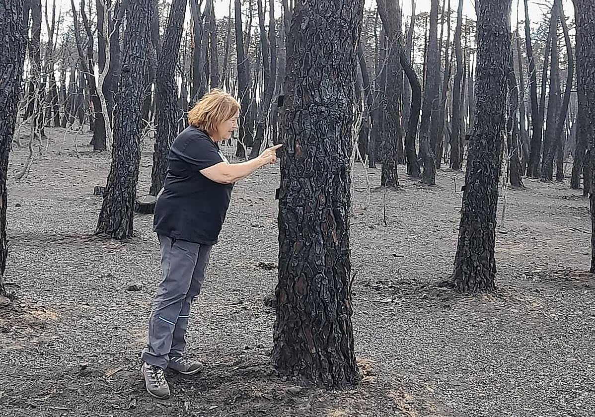 La catedrática de Ecología de la ULE, Elena Marcos, en la zona quemada por el incendio de Castrocalbón.