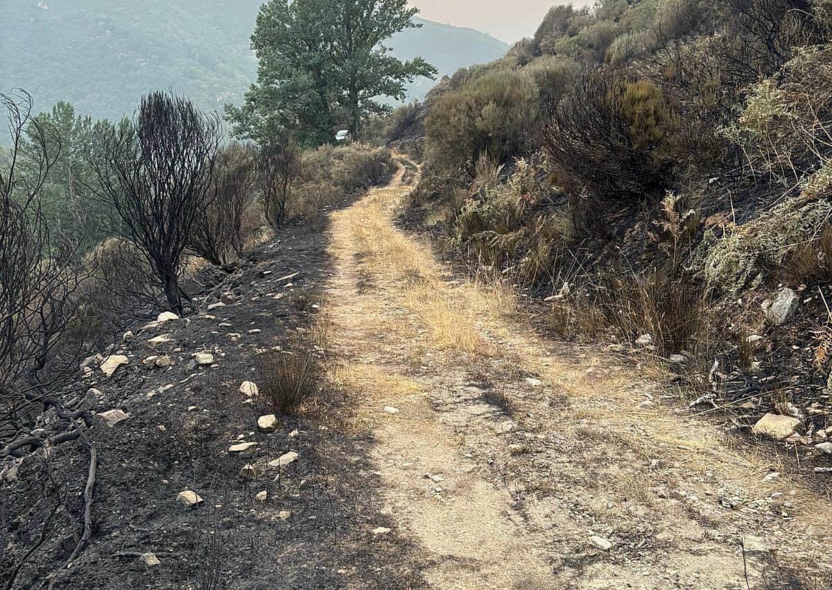 Imagen secundaria 1 - Arriba, Manuel Pérez trasladando el forraje; abajo, los caminos devastados y las llamas quemando el monte.