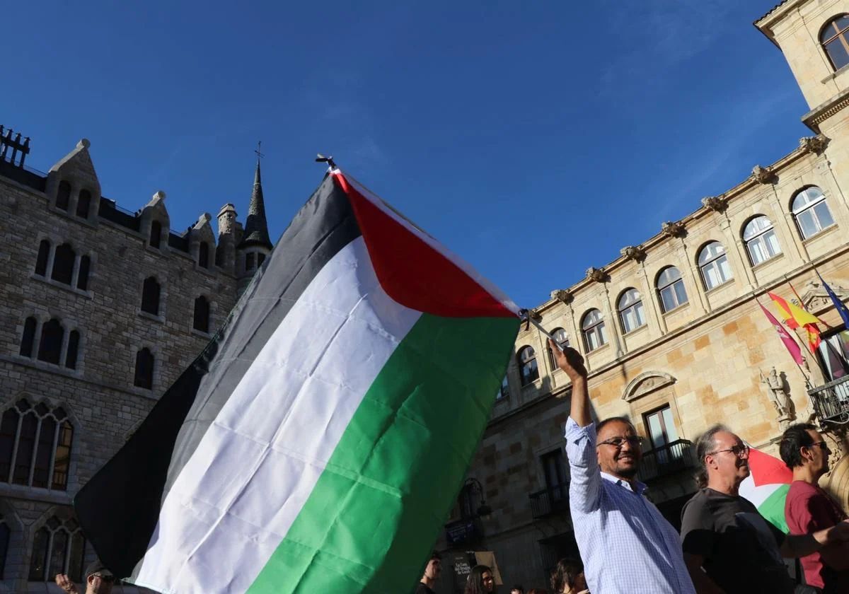 Bandera de Palestina en una protesta en Botines.