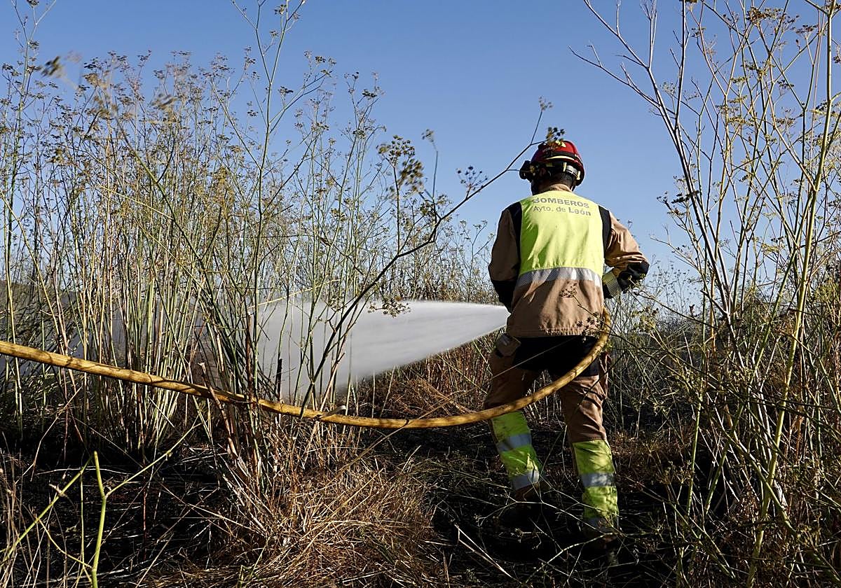Incendio en Quintana de Raneros