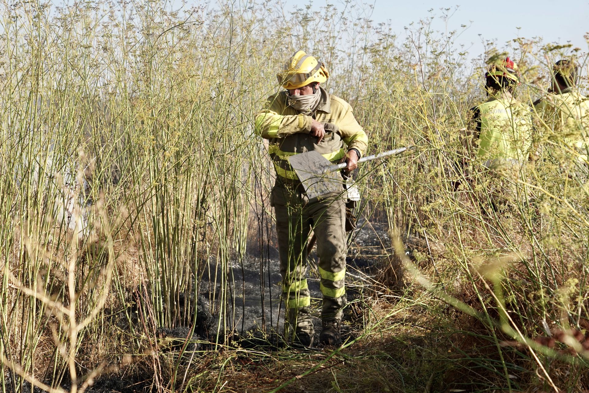 Incendio en Quintana de Raneros