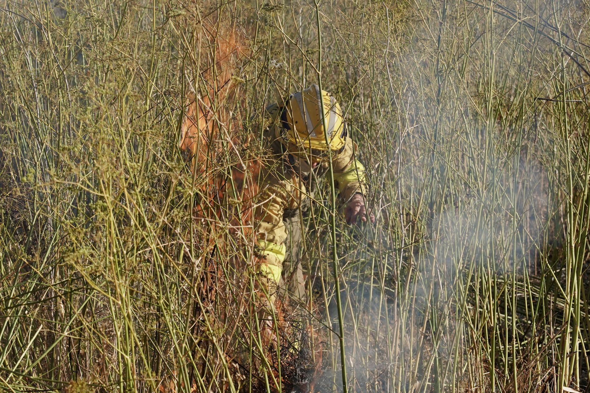 Incendio en Quintana de Raneros