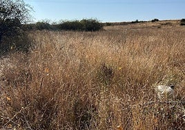 Solar en el municipio de Astorga.