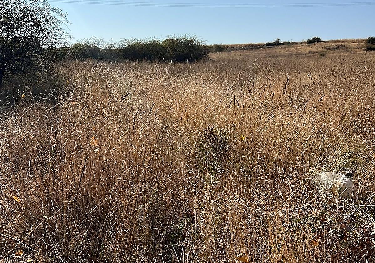 Solar en el municipio de Astorga.