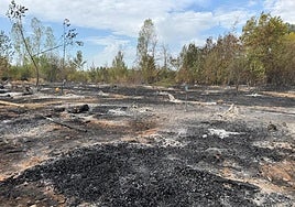Las imágenes de Villarejo de Órbigo tras el incendio