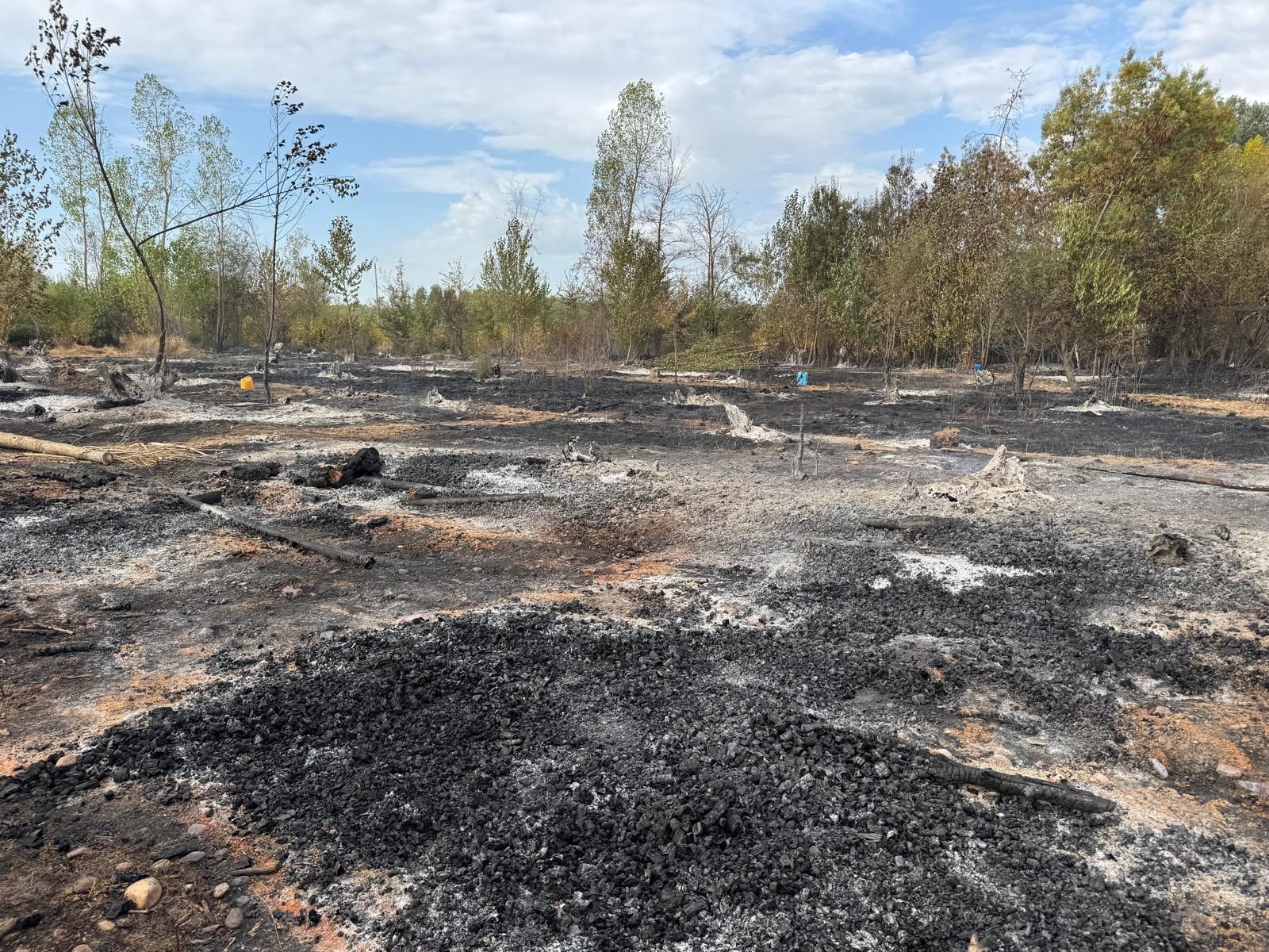 Las imágenes de Villarejo de Órbigo tras el incendio