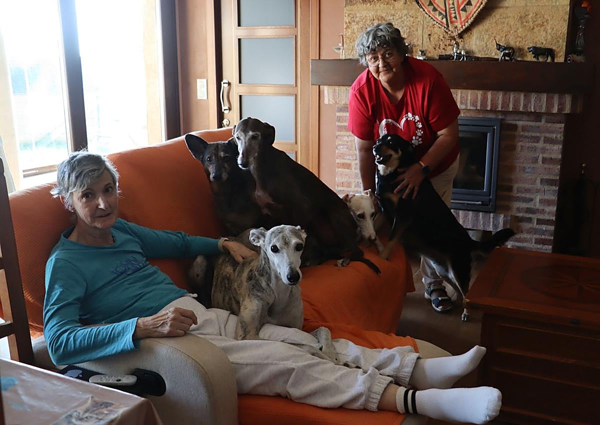 Imagen secundaria 1 - Carmen y Camino junto a los perros.