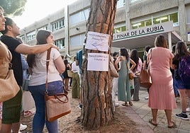 Celebración de las oposiciones de Educación de este verano.