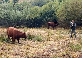 Imagen del incendio de Pendilla de Arbas desde el pueblo.