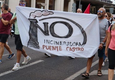 Ecologistas presenta un recurso contra el proyecto que habilita la macroplata central de biomasa en Puente Castro