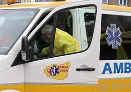 Atropellada una joven en la zona de la universidad